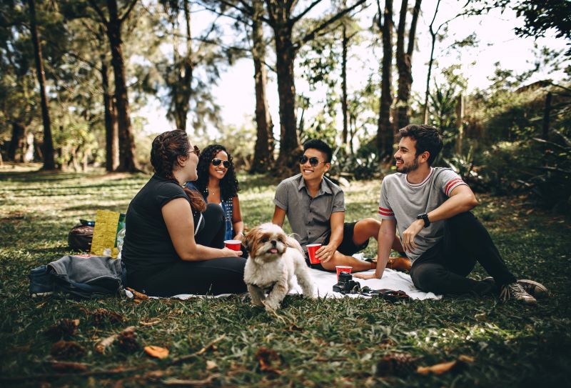 4 Freunde machen ein Picnick im Park mit Hund, trinken aus roten Bechern und lachen