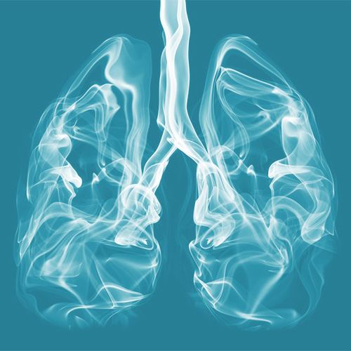 Rauch in Form einer Lunge auf grünem Hintergrund
